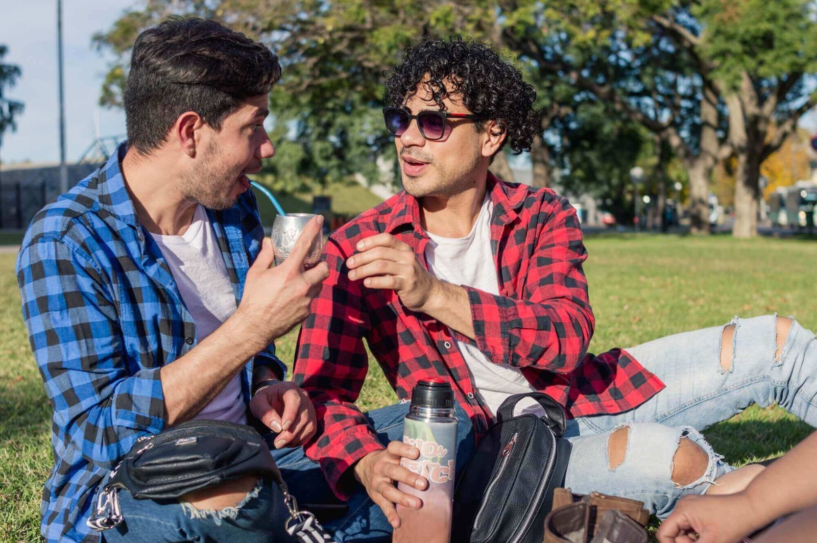 latin homosexual male argentinian couple sitting i 2025 03 08 08 38 38 utc.jpg